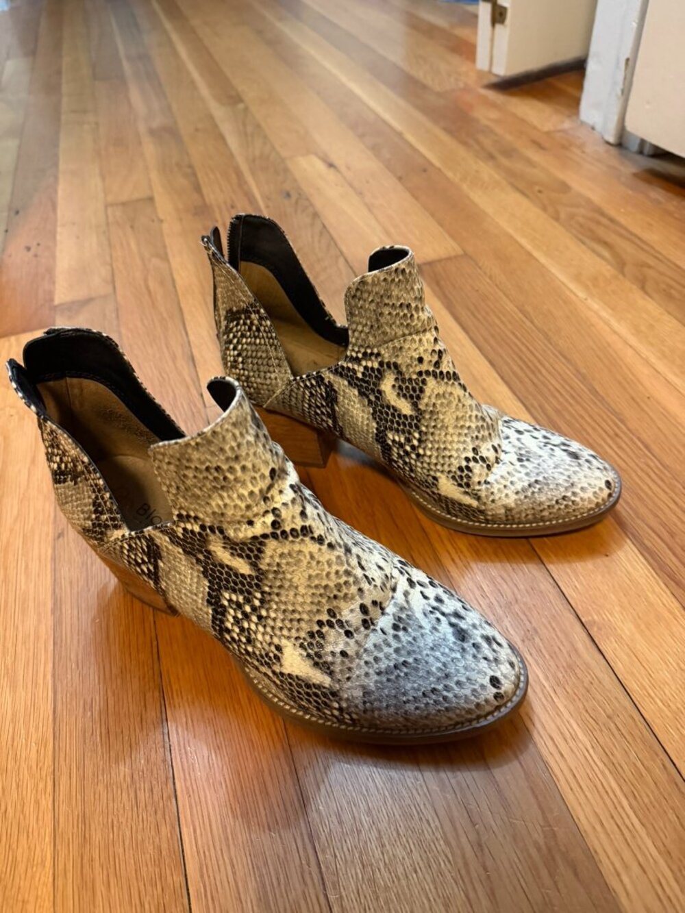Blondo Neda Waterproof Snakeskin Booties Size 9M